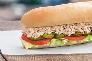 Classic Sub 4